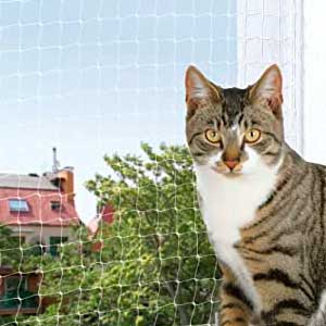 Стеклопакеты Триплекс